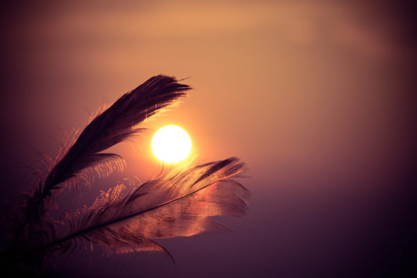 Two feathers in silhouette framing a glowing orange sun.