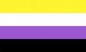 The non binary flag: horizontal stripes of yellow, white, purple, and black. 
