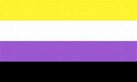 The non binary flag: horizontal stripes of yellow, white, purple, and black.