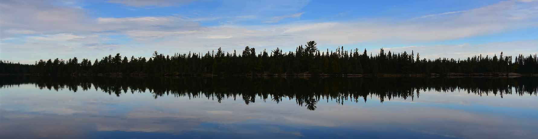 Boreal forest in Northern Ontario, outlined against a sunset sky with the water reflecting the sky.